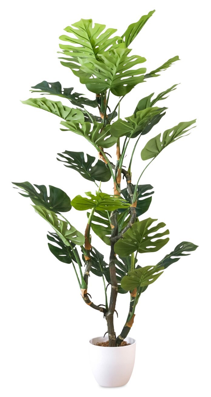 Monstera 61 Plante artificielle | Plante artificielle monstera 61 po