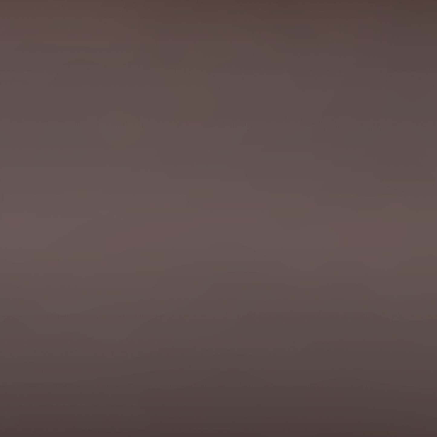 Lit superposé Noah avec échelle et barrière de sécurité pour enfants, métal, bronze foncé - Twin/Twin | Lits superposés Noah en métal pour enfants avec échelle et garde-corps, bronze foncé - simple et simple