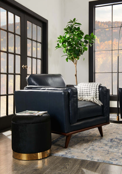 Phebe 16.5 Storage Ottoman with Gold Trim Base - Noir|Pouf de rangement Phebe de 16,5 po avec base à bordures dorées - noir