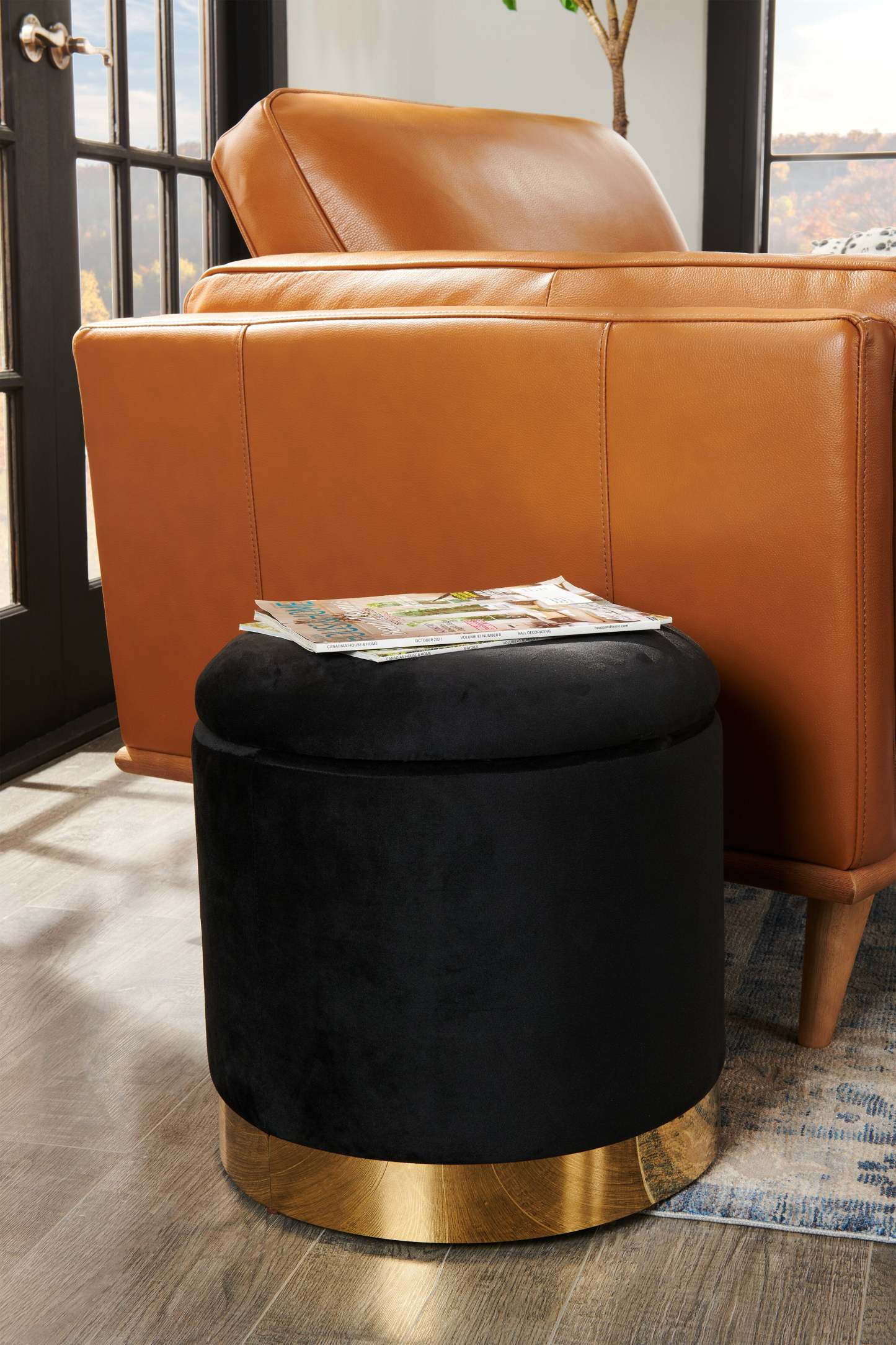 Phebe 16.5 Storage Ottoman with Gold Trim Base - Noir|Pouf de rangement Phebe de 16,5 po avec base à bordures dorées - noir