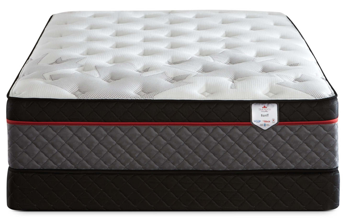 Ensemble matelas à plateau européen True North Chiropractic® Banff de Springwall pour lit double
