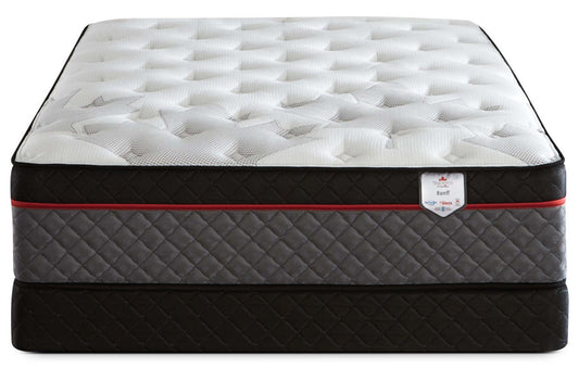 Springwall True North Chiropractic® Banff Euro-Top Queen Mattress Set|Ensemble matelas à Euro-plateau True North Banff Chiropractic de Springwall pour grand lit
