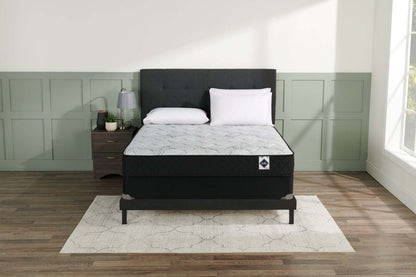 Ensemble de matelas dans une boîte Springwall Autumn à plateau serré pour grand lit | Ensemble matelas à plateau régulier dans une boîte Autumn de Springwall pour grand lit | AUTOMNEQP