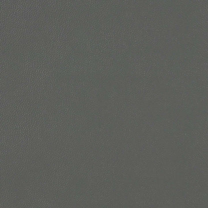 Enzo 26 Genuine Leather Accent Chair with Biscuit Tufting, Track Arms and Wood Legs - Dark Grey | Fauteuil d’appoint Enzo de 26 po en cuir véritable avec capitonnage en biscuit, accoudoirs rectilignes et pattes en bois - gris foncé