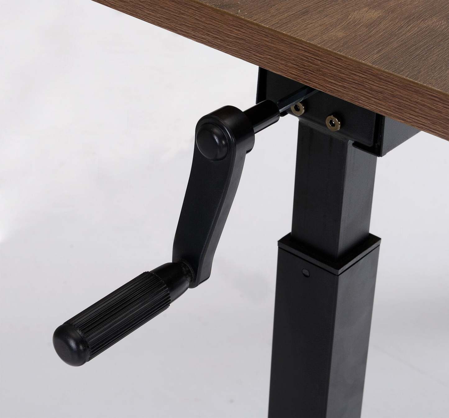 Bureau Novah 47,25 à hauteur réglable - Marron|Bureau Novah de 47,25 po à hauteur réglable - brun