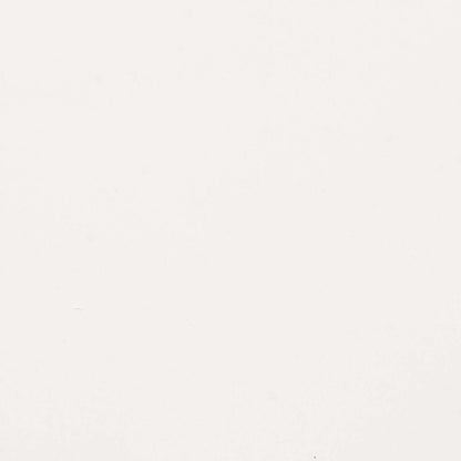 Lit superposé Miko avec échelle et garde-corps pour enfants, blanc - Twin/Twin | Lits superposés Miko pour enfants avec échelle et garde-corps, blanc - simple et simple