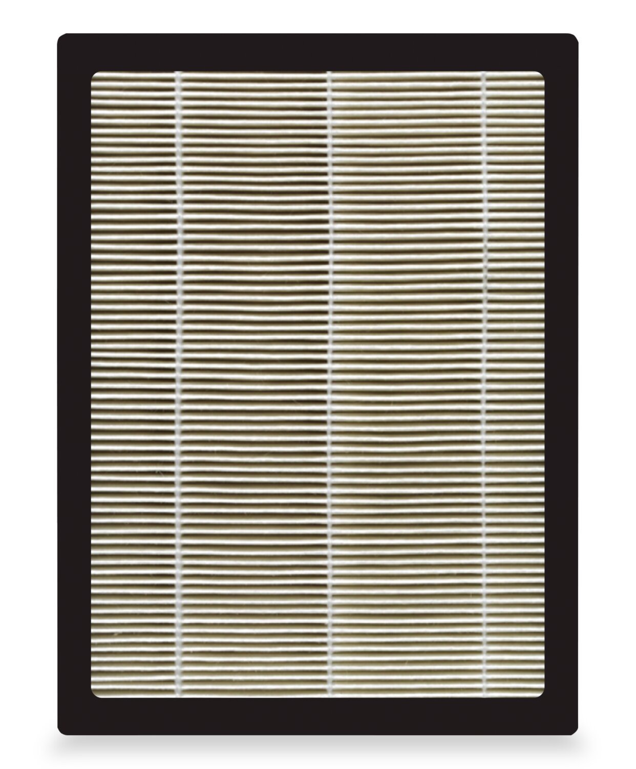 Cuisinart PuRXium Filtre HEPA de remplacement H13 de haute qualité et filtre à charbon actif - CAP-500FPKC | Filtre H13 HEPA de qualité supérieure et filtre à charbon actif de remplacement PuRXium de Cuisinart - CAP-500FPKC | CAP5000F