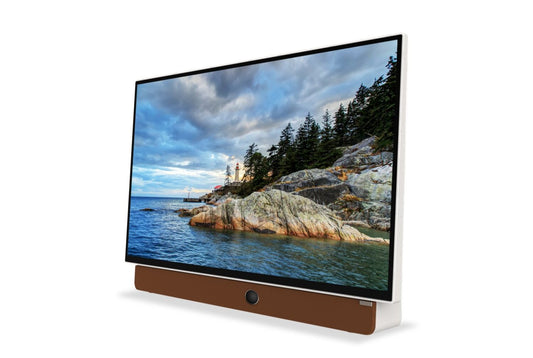 Écran à DEL Companion Portable™ 1080p FHD avec Google TV (24P100) | Écran à DEL Companion PortableMC de Skyworth Full HD 1080p avec Google TVMC (24P100)