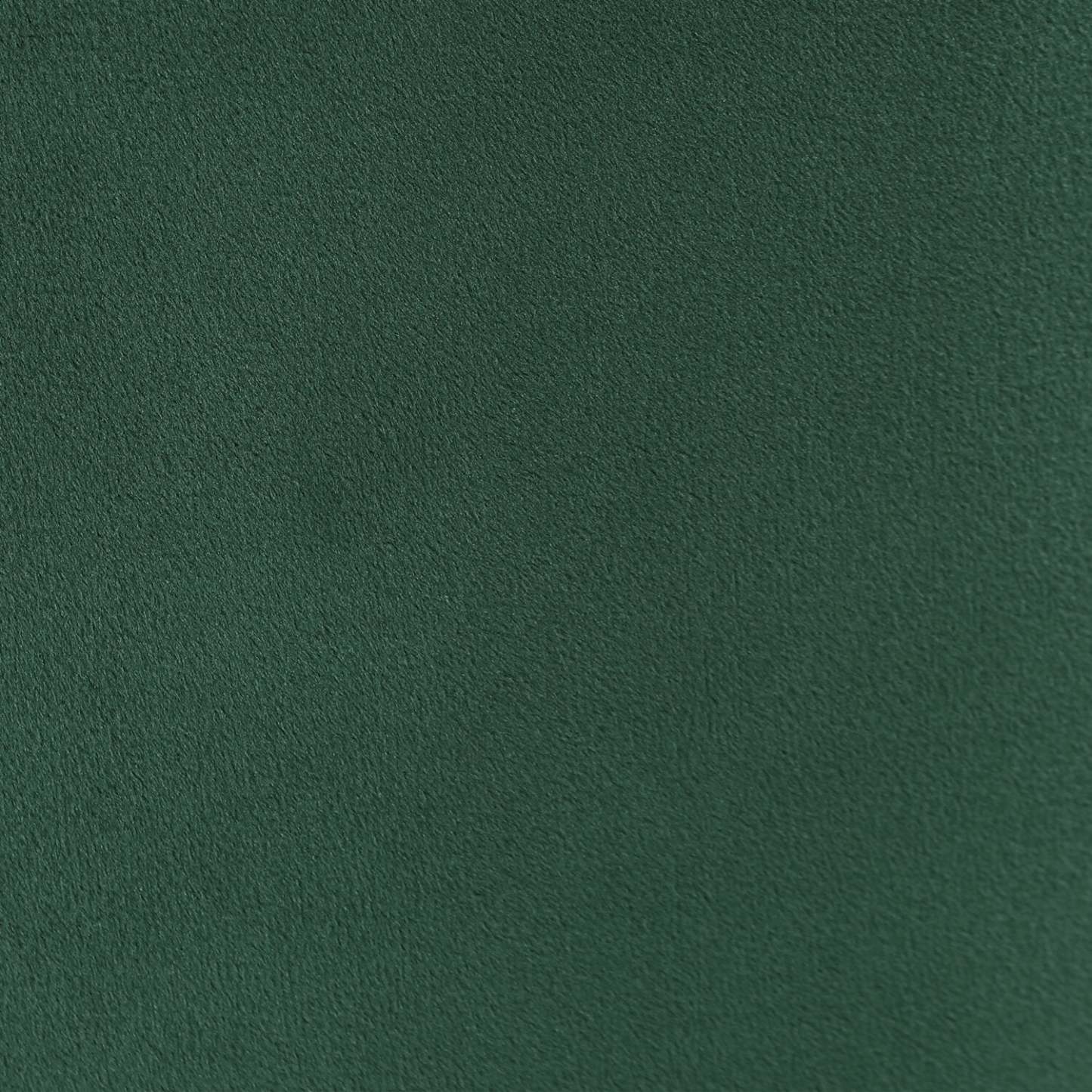 Phebe 16.5 Storage Ottoman with Gold Trim Base - Vert|Pouf de rangement Phebe de 16,5 po avec base à bordures dorées - vert