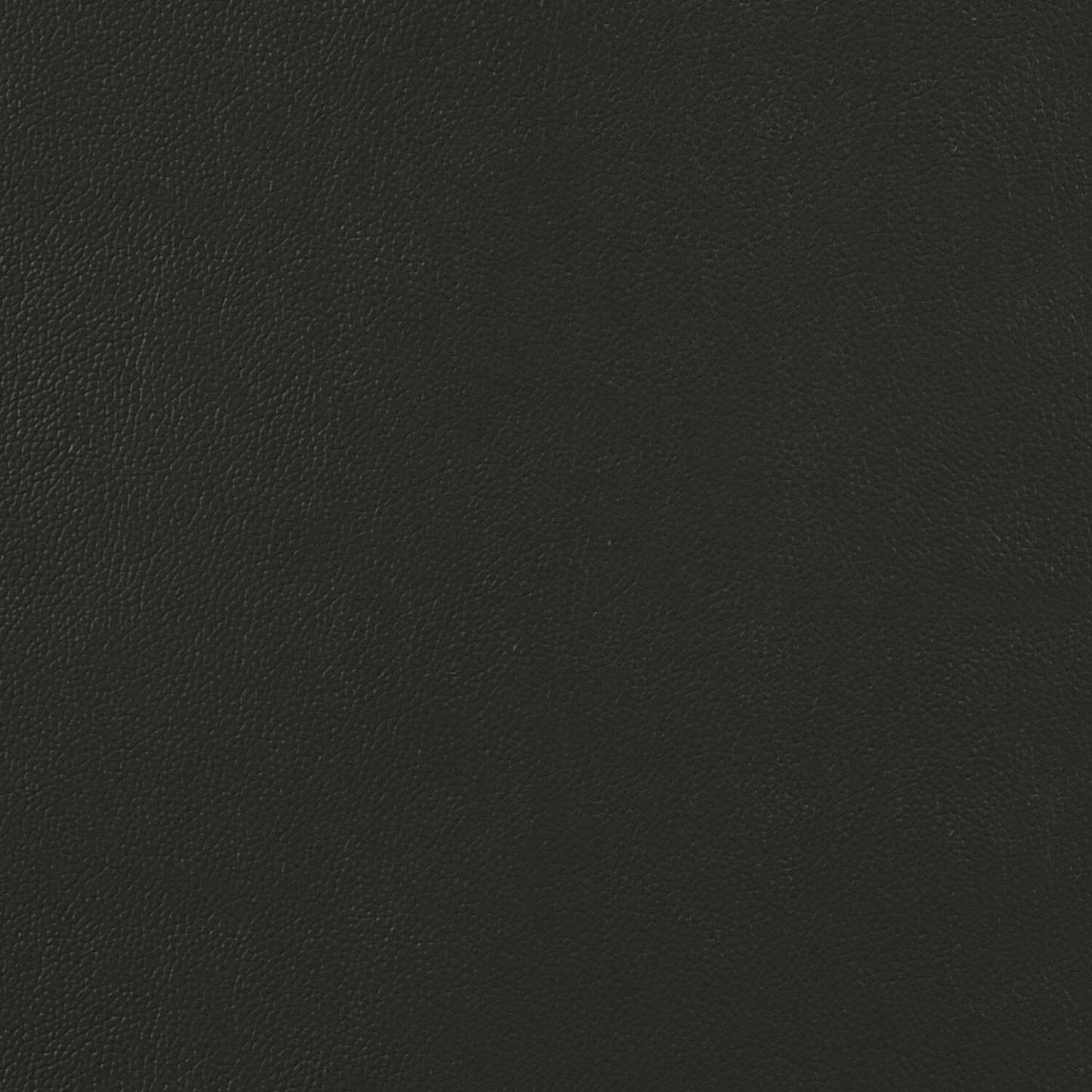 Fauteuil d'appoint Enzo 26 en cuir véritable avec capitonnage en biscuit, accoudoirs sur rail et pieds en bois - Noir | Fauteuil d'appoint Enzo de 26 po en cuir avec capitonnage en véritable biscuit, accoudoirs rectilignes et pattes en bois - noir