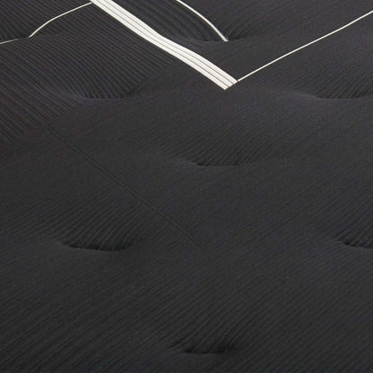 Matelas ferme à Euro-plateau Executive Suite de série Hotel de Beautyrest BlackMD pour grand lit