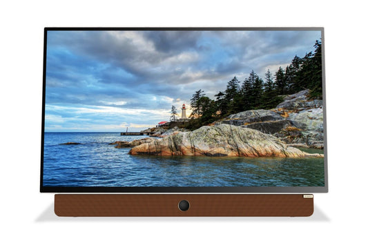 Écran à DEL Companion Portable™ 1080p FHD avec Google TV (24P100) | Écran à DEL Companion PortableMC de Skyworth Full HD 1080p avec Google TVMC (24P100)