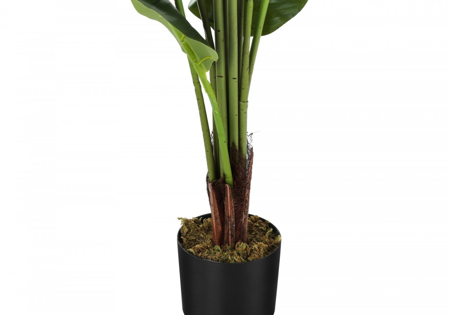 59 Arbre Strelitzia artificiel en 5 pots | Strelitzia artificielle de 59 po en pot de 5 po