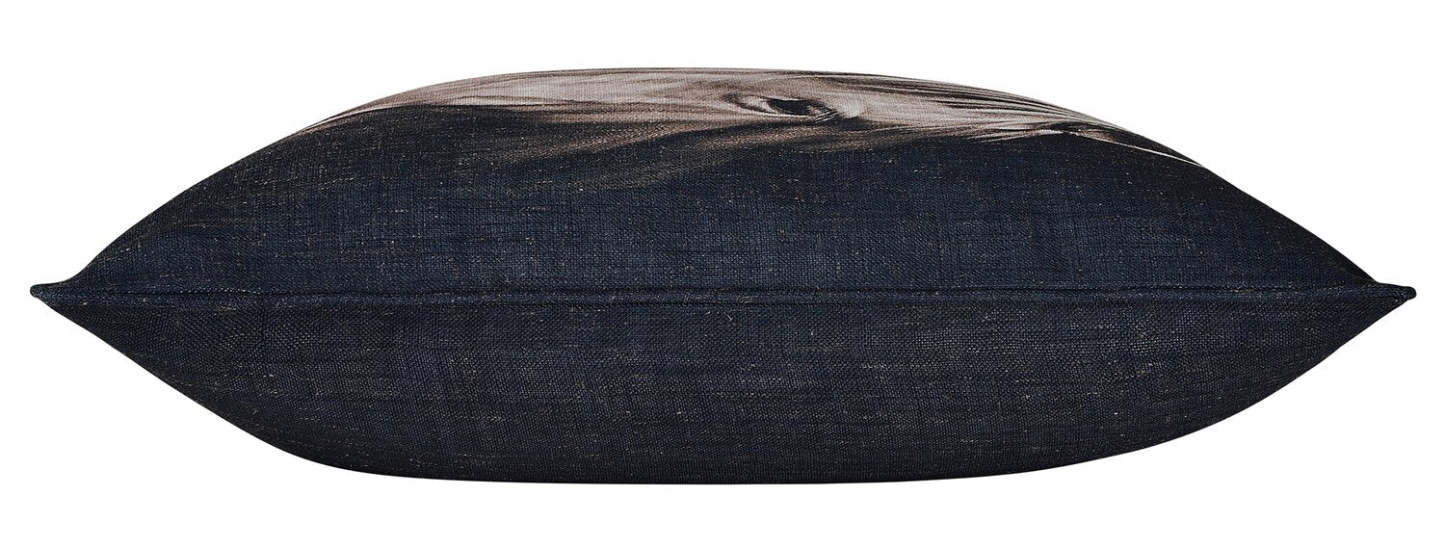 Coussin décoratif cheval mystique - brun | Mystical Horse Accent Pillow - Brown | FL1357DP