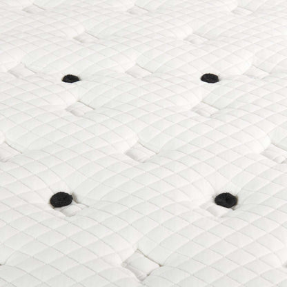 Scott Living Aviemore Tight Top Firm Queen Mattress | Matelas ferme à plateau régulier Aviemore de Scott Living pour grand lit