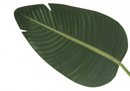 60 Artificial Bird of Paradise in 5 Pot | Oiseau du paradis artificiel de 60 po en pot de 5 po