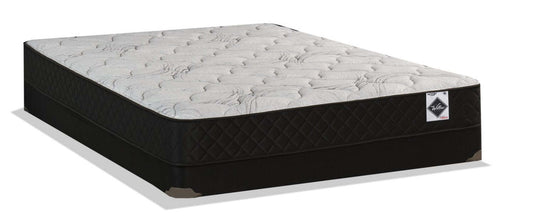 Ensemble de matelas dans une boîte Springwall Autumn à plateau bas et à profil bas pour grand lit | Ensemble matelas à profil bas à plateau régulier dans une boîte Autumn de Springwall pour grand lit | AUTMNLQP