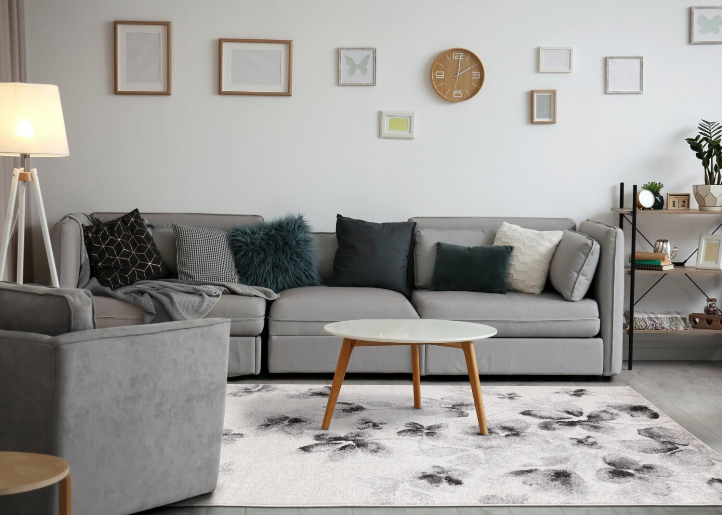 Tapis René – 8' x 11' | Carpette René - 8 pi x 11 pi