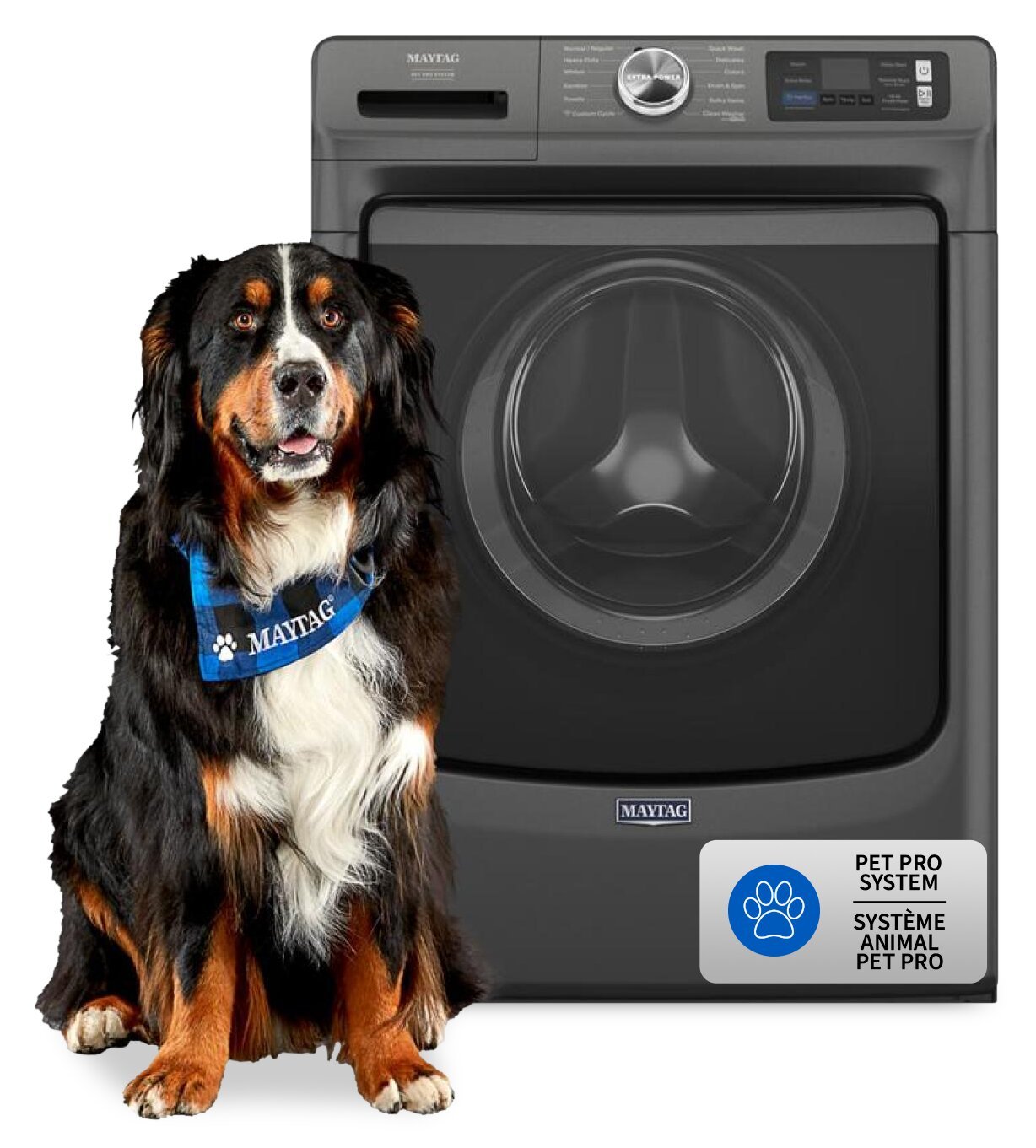 Maytag 5,8 pi3 Laveuse intelligente à chargement frontal Pet Pro - noir volcan - MFW7020RU | Laveuse intelligente à chargement frontal Pet Pro de 5,8 pi3 de Maytag - noir volcan - MFW7020RU | MFW7020U