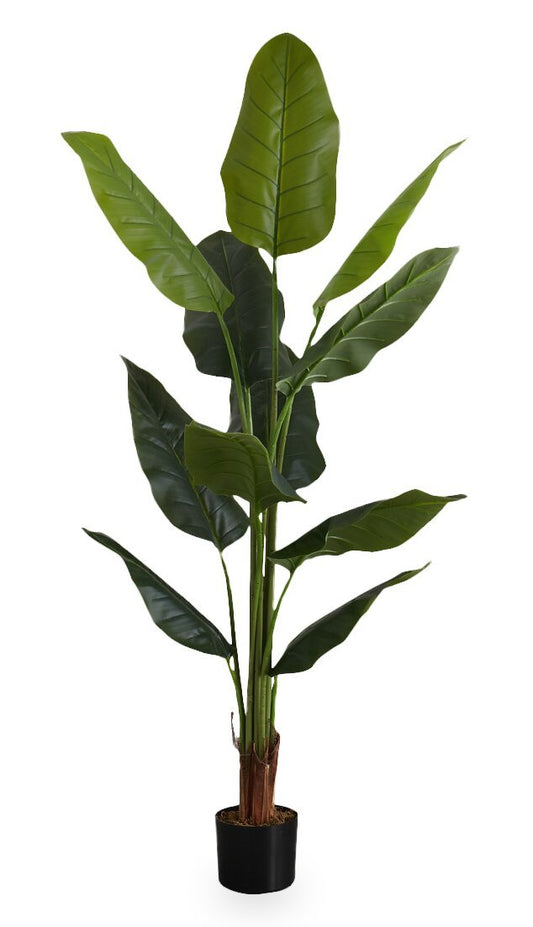 59 Arbre Strelitzia artificiel en 5 pots | Strelitzia artificielle de 59 po en pot de 5 po