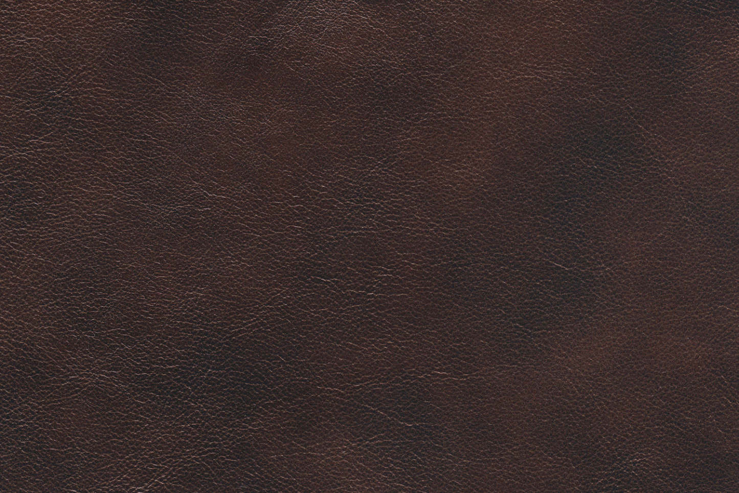 Fauteuils à inclinaison électrique Hayes de 38 po en cuir véritable avec appuie-tête réglable - brun