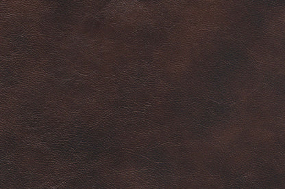 Fauteuils à inclinaison électrique Hayes de 38 po en cuir véritable avec appuie-tête réglable - brun